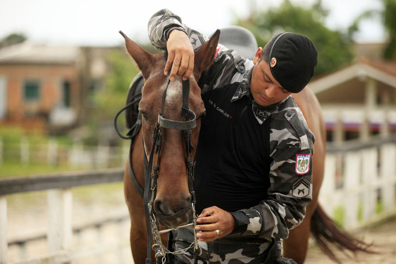 Policial de pele branca com boina e farda colocando o cabresto em um cavalo castanho