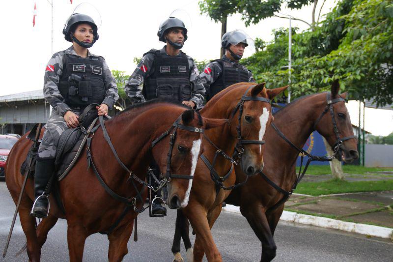 Conduta de policiais que atiraram em cavalos será apurada