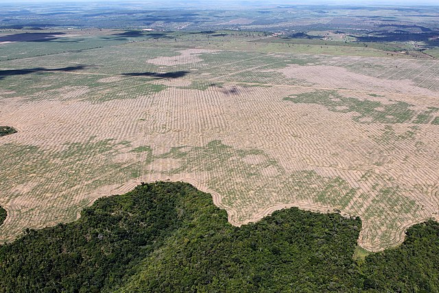 Área de Floresta Amazônica desmatada no Maranhão. (Fonte: WikimediaCommons/Reprodução)